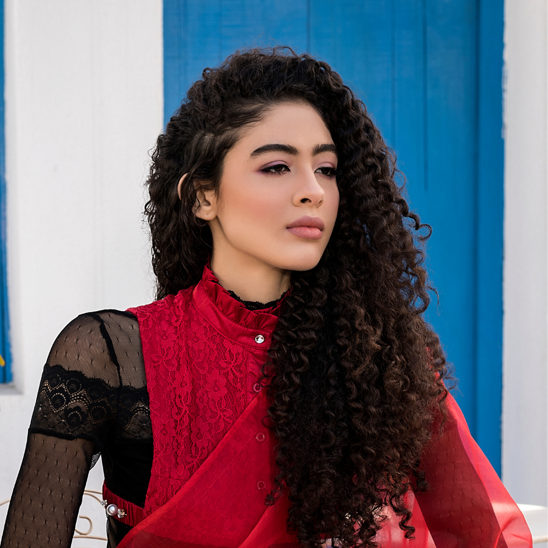 Chantilly Lace Detachable Collar - Red